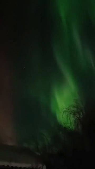 Настоящее северное сияние ✨ в Нюрбе