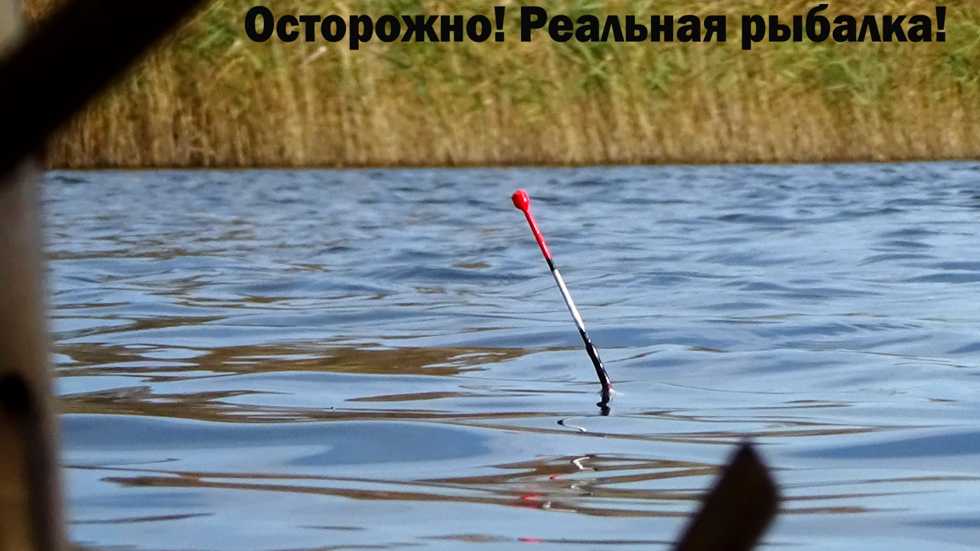 Попробовать поймать сковородного карася на карликокарасёвом пруду