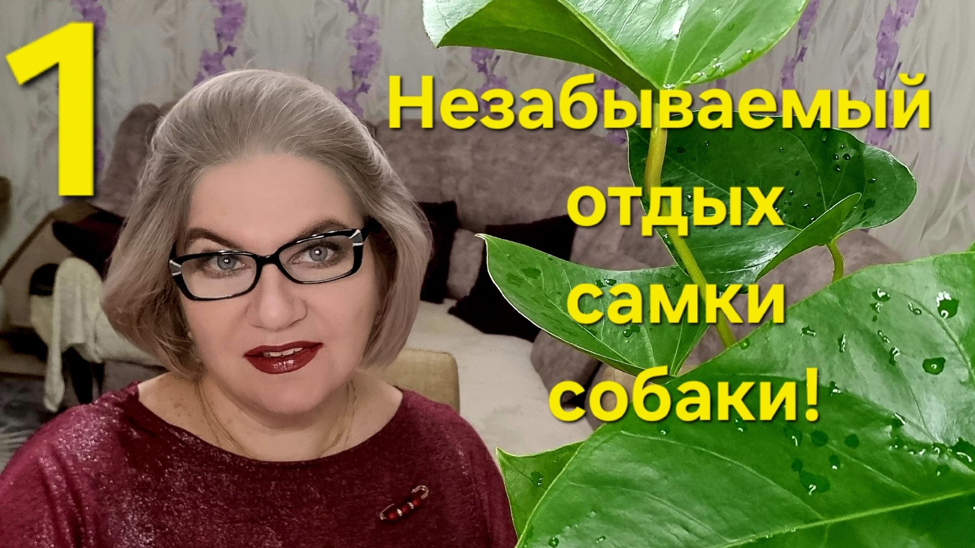 1 часть. Незабываемый отдых САМКИ СОБАКИ❗️