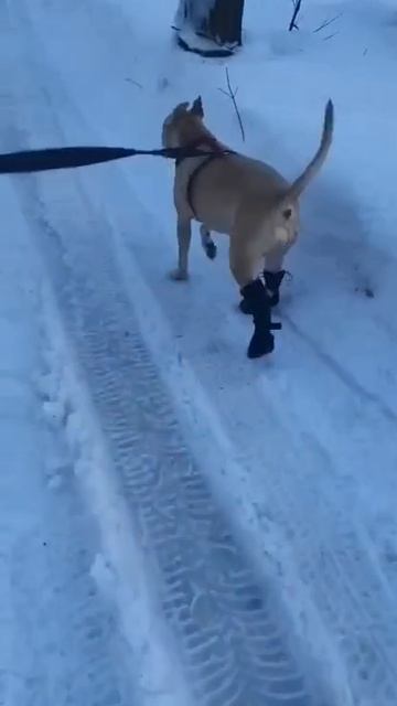 rutube.ru
