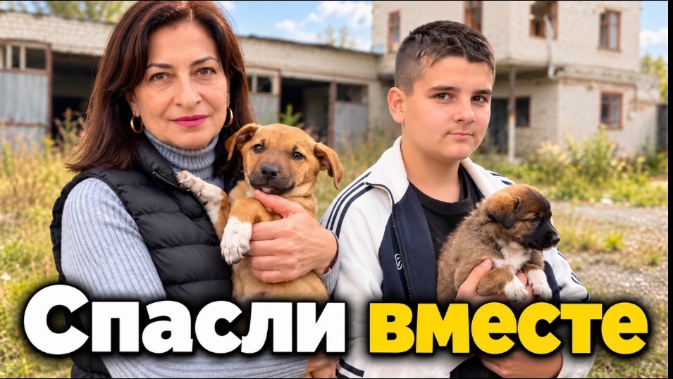 Как Марк и его учитель спасли щенков ?