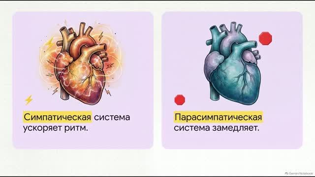 Биология 10 класс 38 Транспорт веществ у организмов