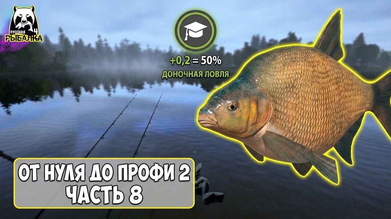 От нуля до профи 2