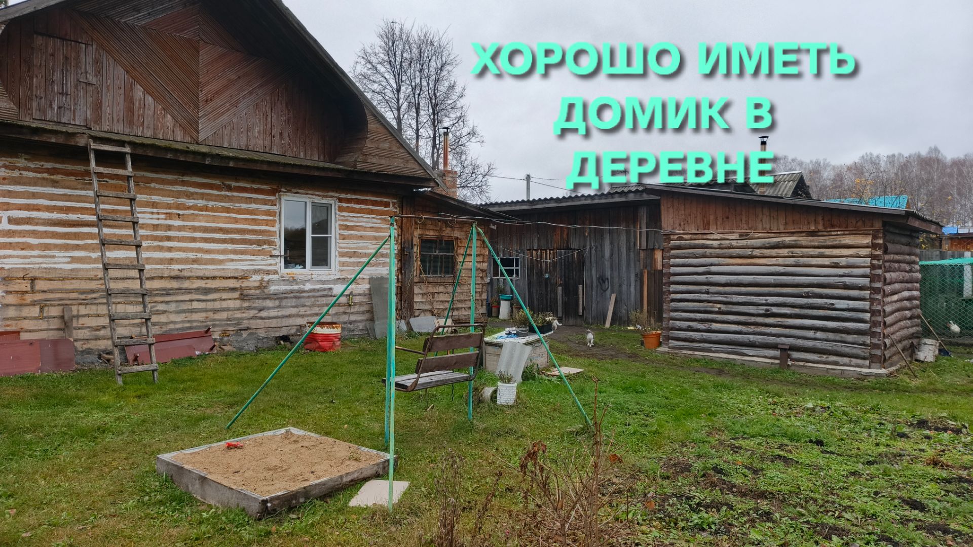 Утки и их содержание