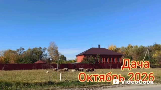 Загородное житье-бытье