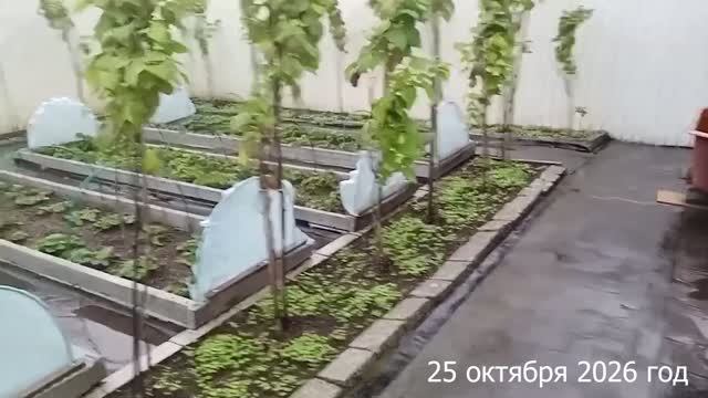 Дача Осень 2026 год. Сентябрь, Октябрь, Ноябрь.
