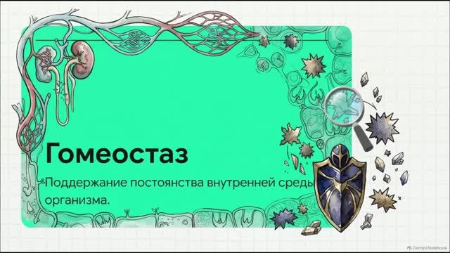 Биология 10 класс 39 Выделение у организмов