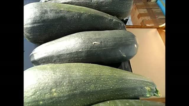 кабачки
