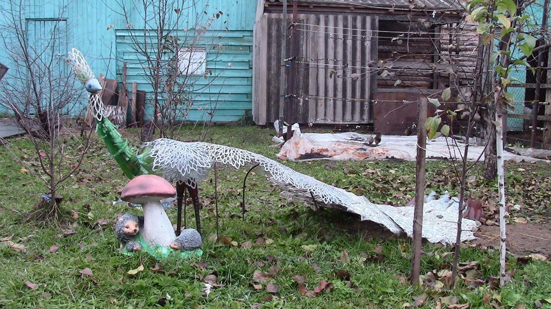 Виноградарство с Татьяной