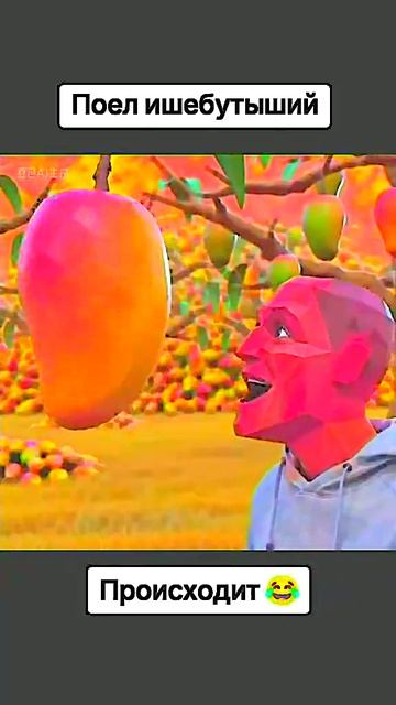 1000030633.mp4