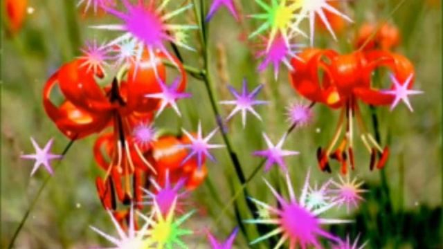 Мои авторские стихи.