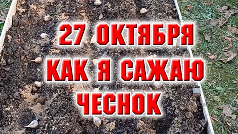 Любимая дача