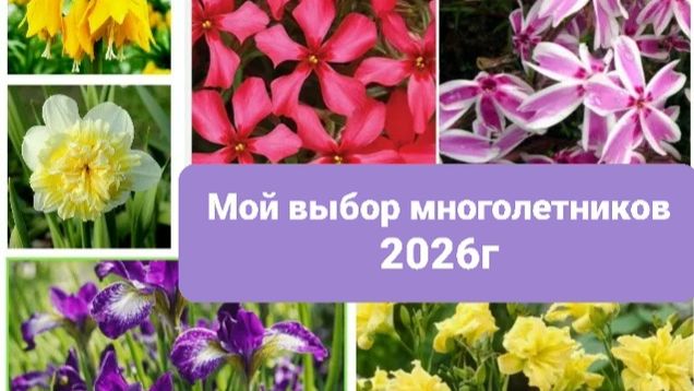 мои огородные сезоны 2026г.