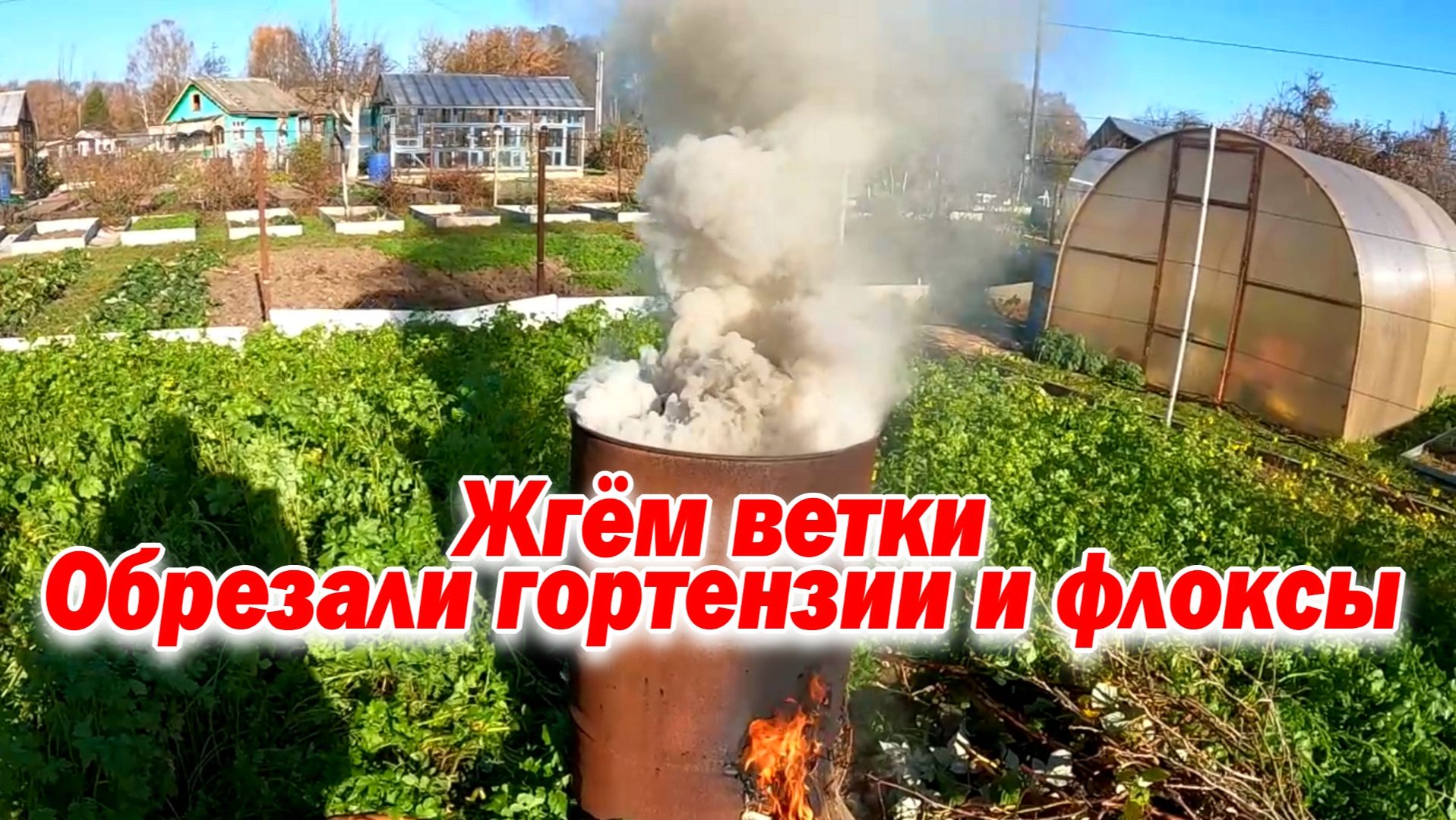 НАША ЛЮБИМАЯ ДАЧА