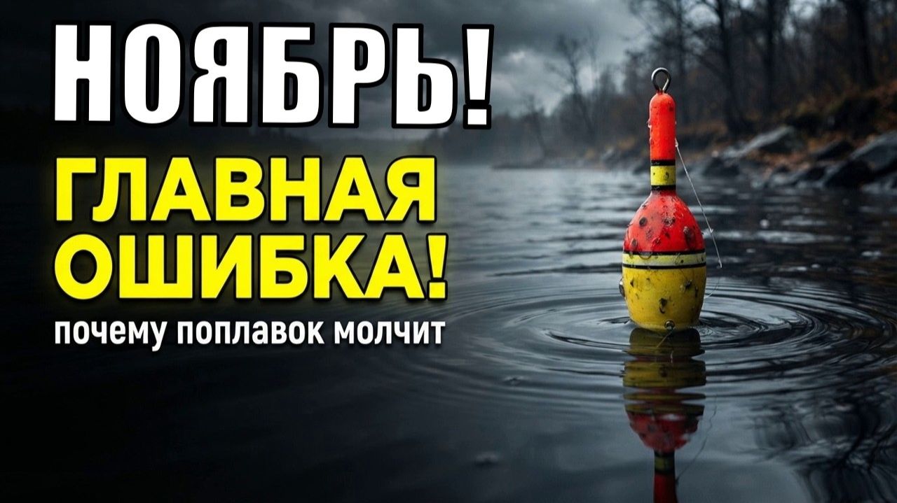 Почему в ноябре нет клева 10 ошибок, о которых молчат бывалые рыбаки