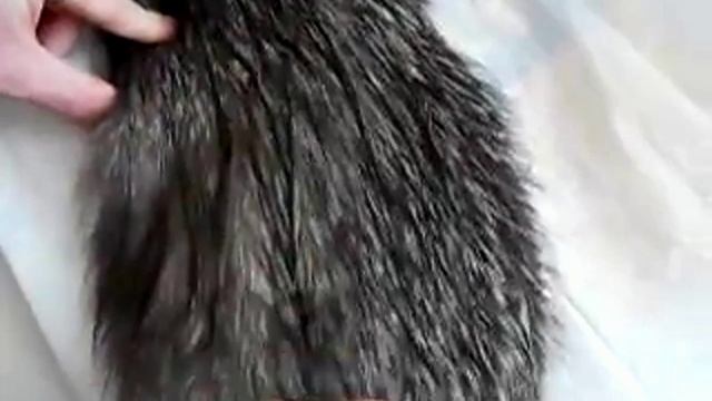 Лайфхаки для женщин