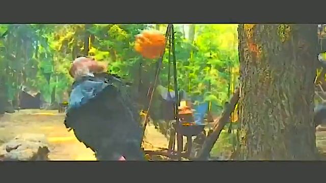 1000030638.mp4
