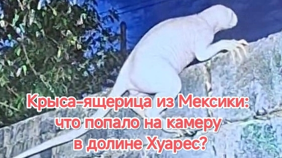 Паранормальные новости