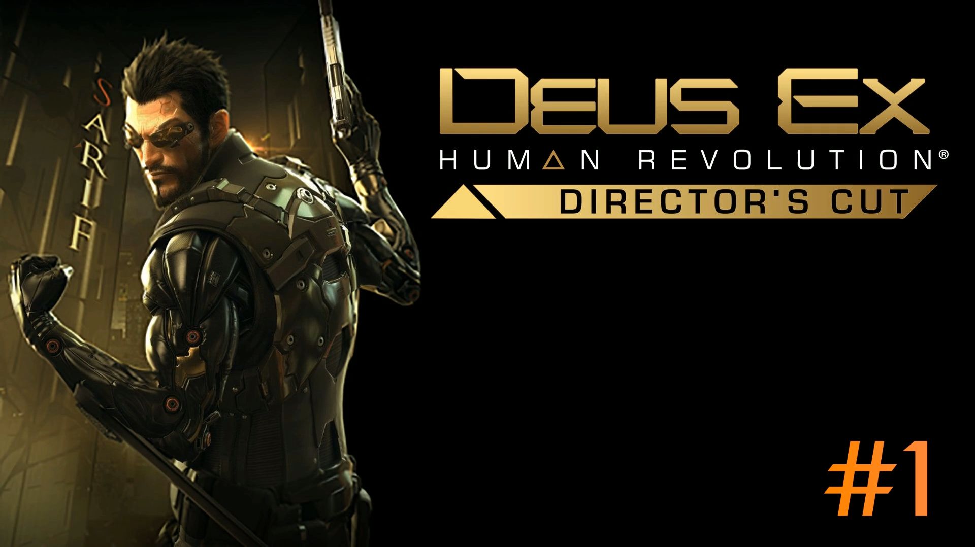 Deus Ex Human Revolution Director′s Cut