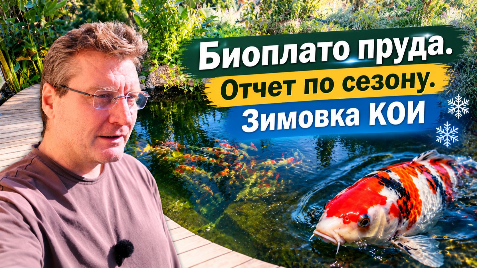 Карпы Кои