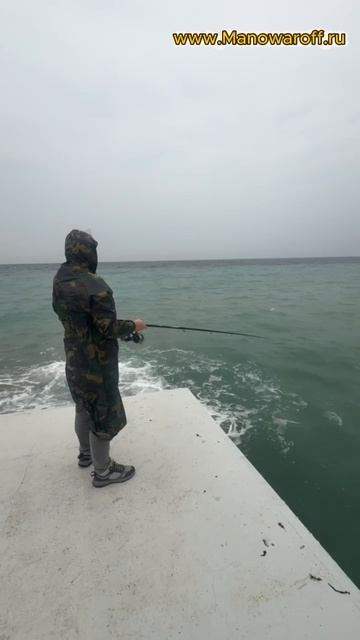 Скриншоты из жизни