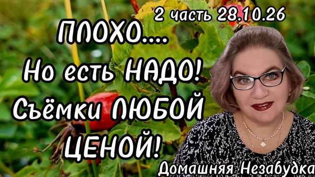 2 часть. ПЛОХО...Но есть НАДО❗️Съёмки ЛЮБОЙ ценой😱❗️