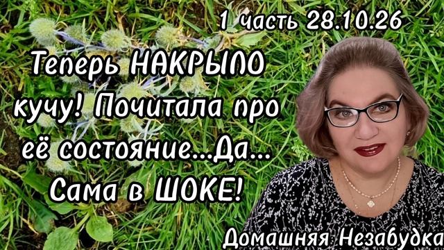 Теперь НАКРЫЛО кучу! Почитала про её состояние..Да..Сама в ШОКЕ!