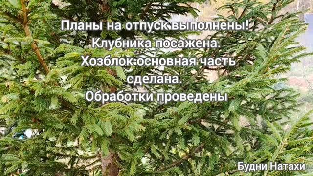 Наш сериал! Новый участок, облагораживаем!
Начало стройки!