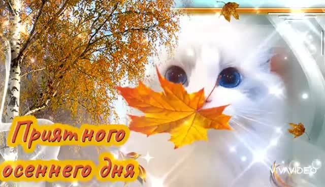 С ДОБРЫМ УТРОМ