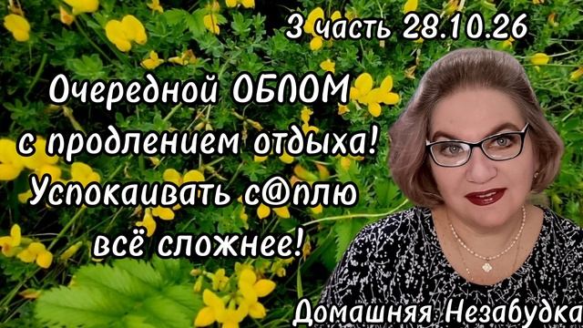 3 часть. Очередной ОБЛОМ с продлением ОТДЫХА❗️Успокаивать с@плю всё СЛОЖНЕЕ😱❗️