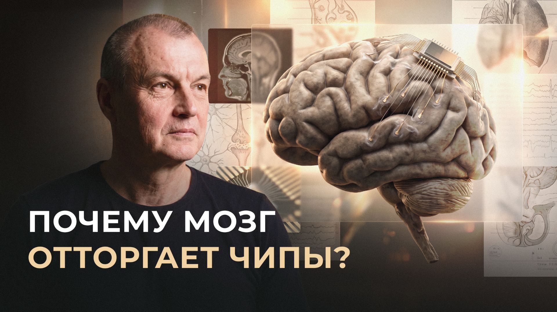Всё о мозге