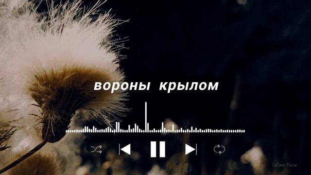 Край ты мой заброшенный