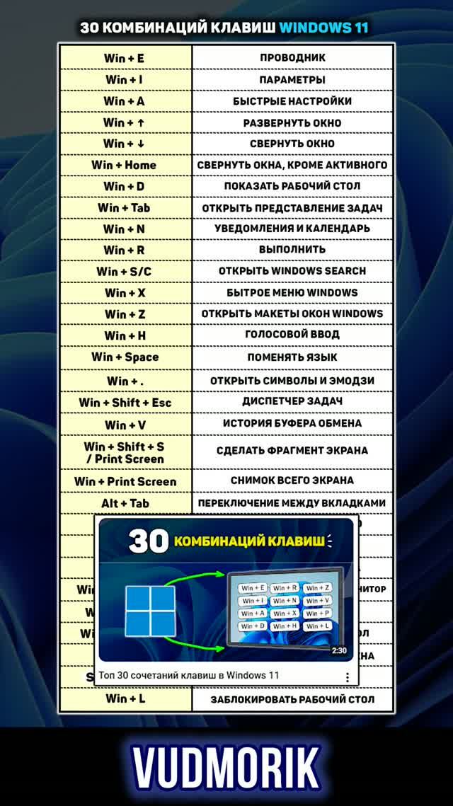 Windows 11