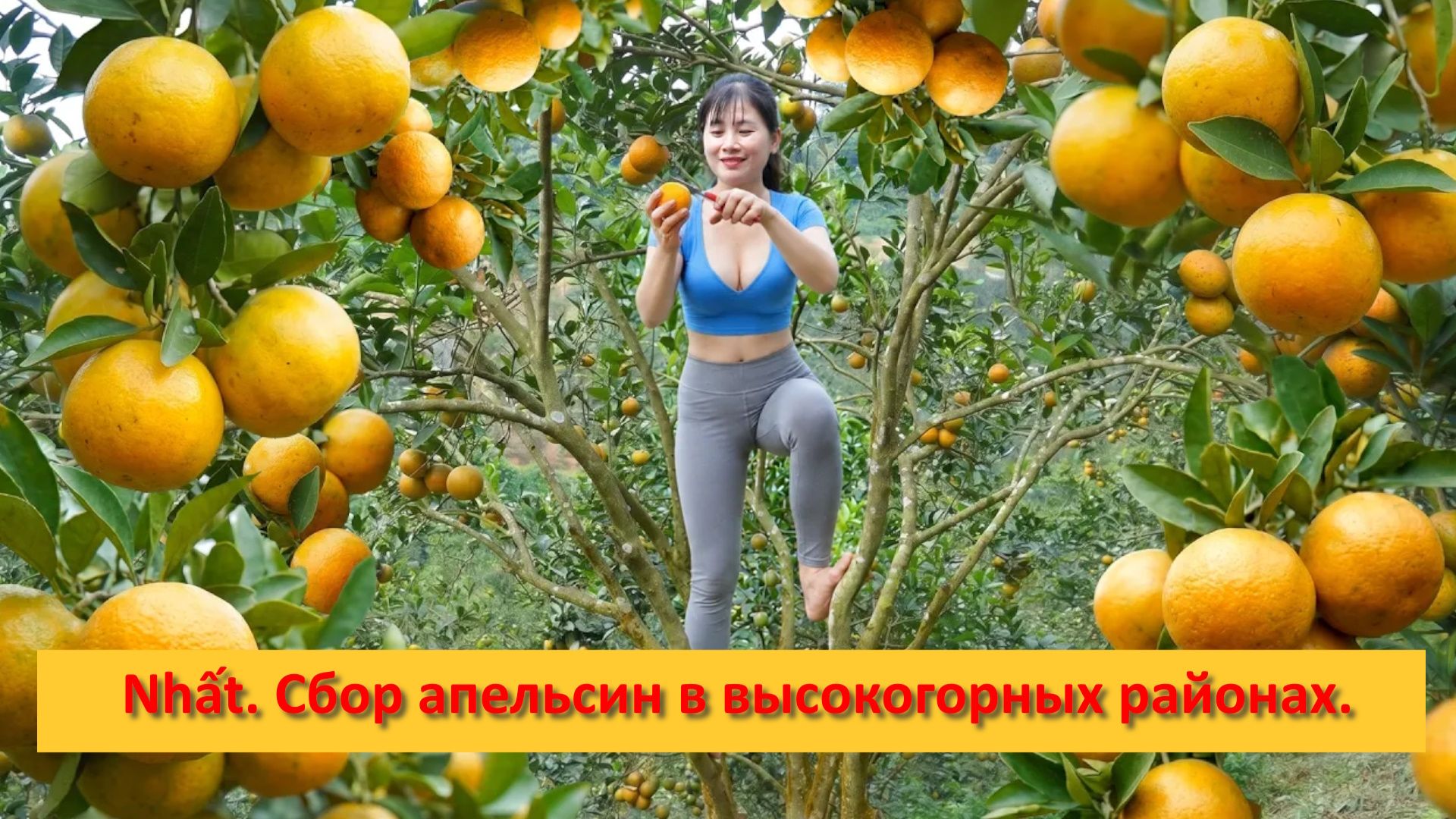 околица еды