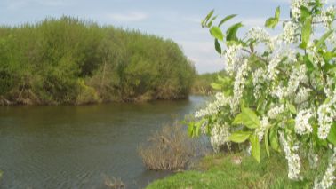 Романсы