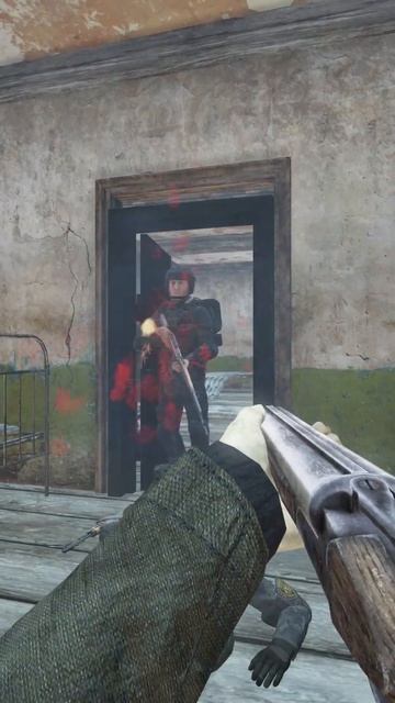 STALKER - DAYZ
