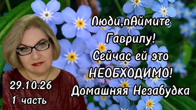 1 часть. Люди, пАймите Гаврилу❗️Сейчас ей это НЕОБХОДИМО❗️