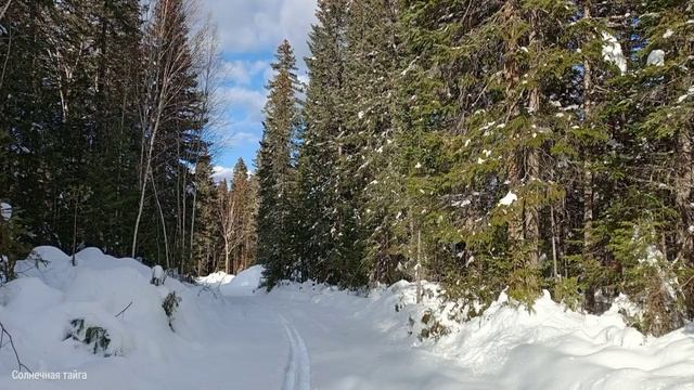 Песни про природу, охоту и рыбалку