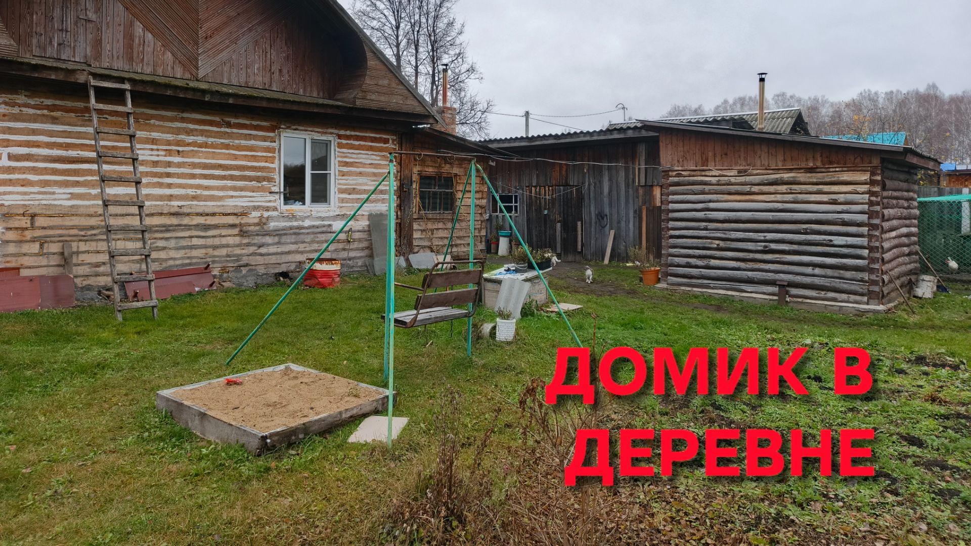 Деревенские будни