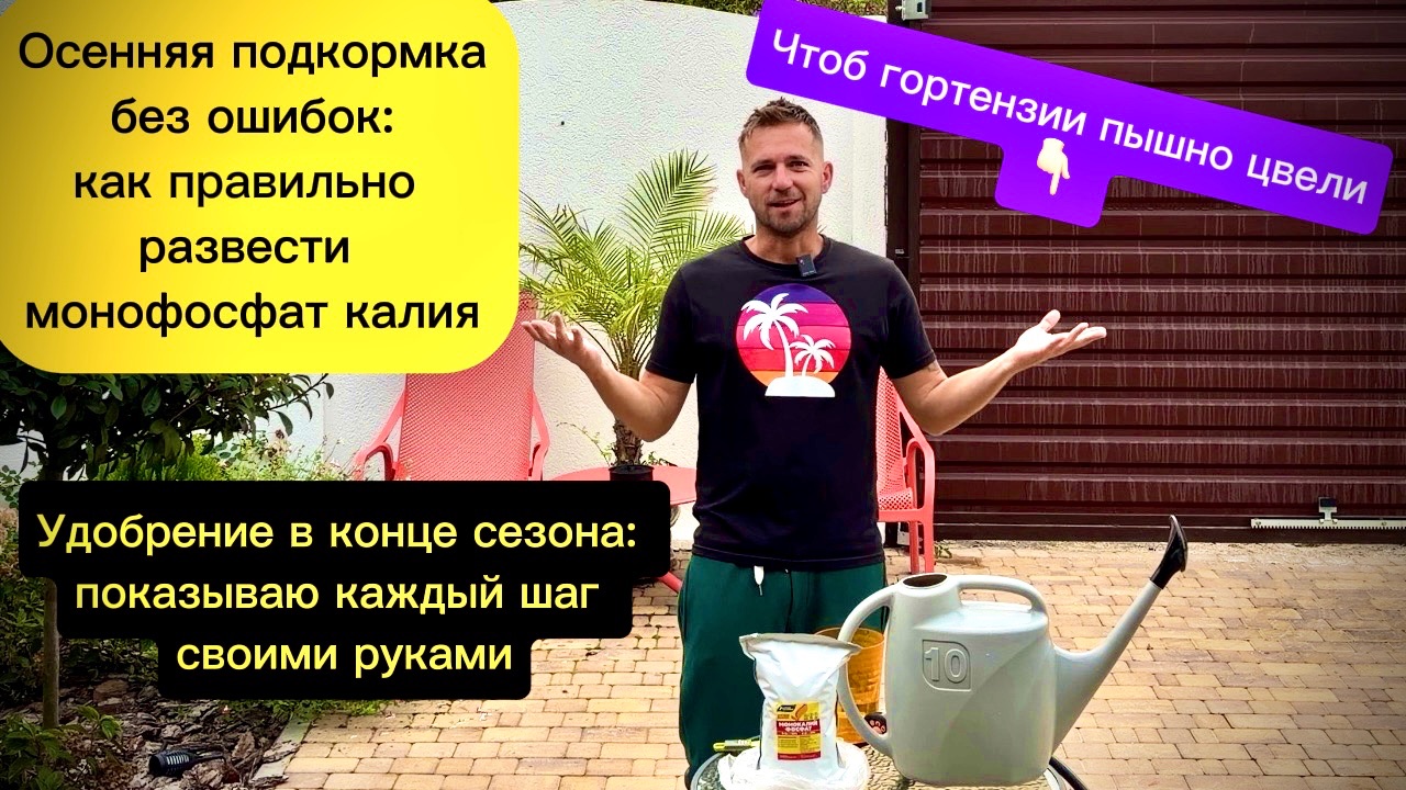 Работы в саду, подкормки и инструкции