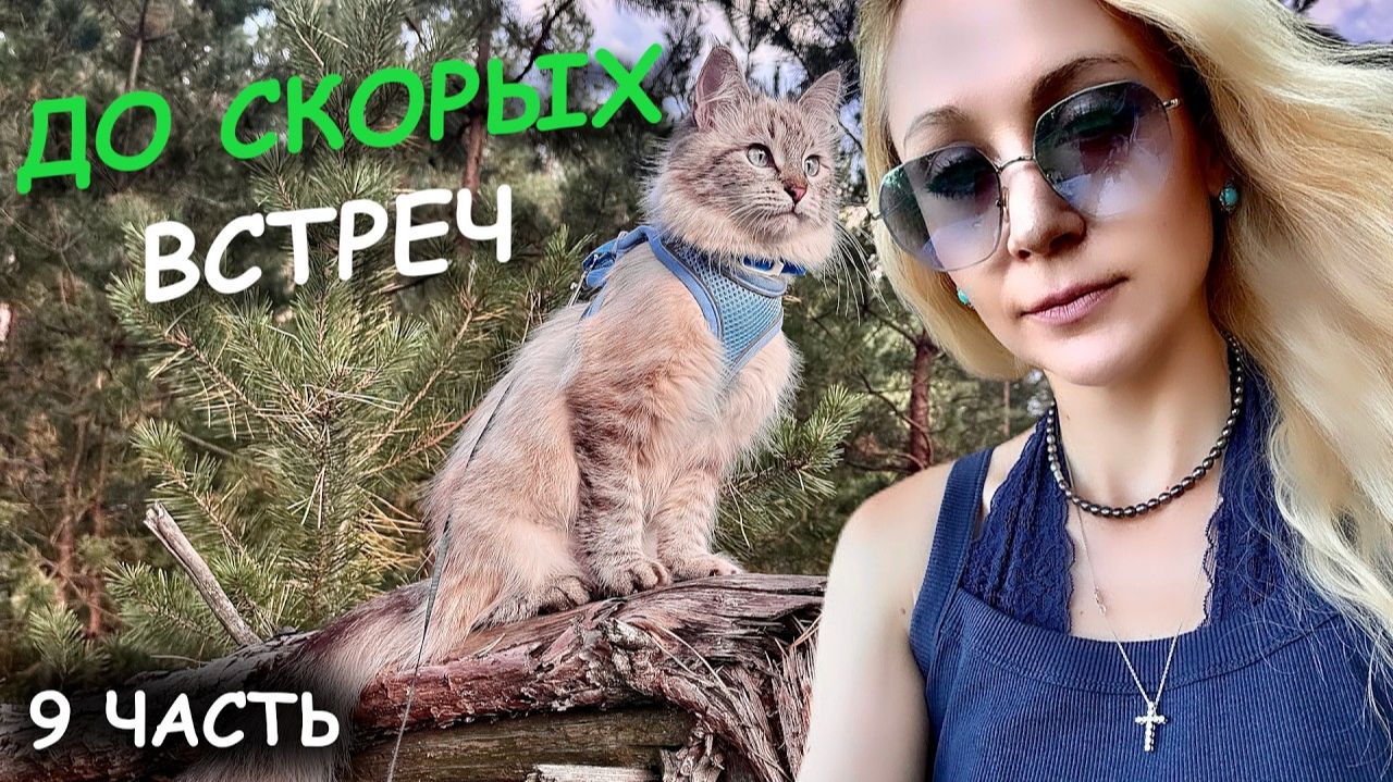 Поездка в деревню