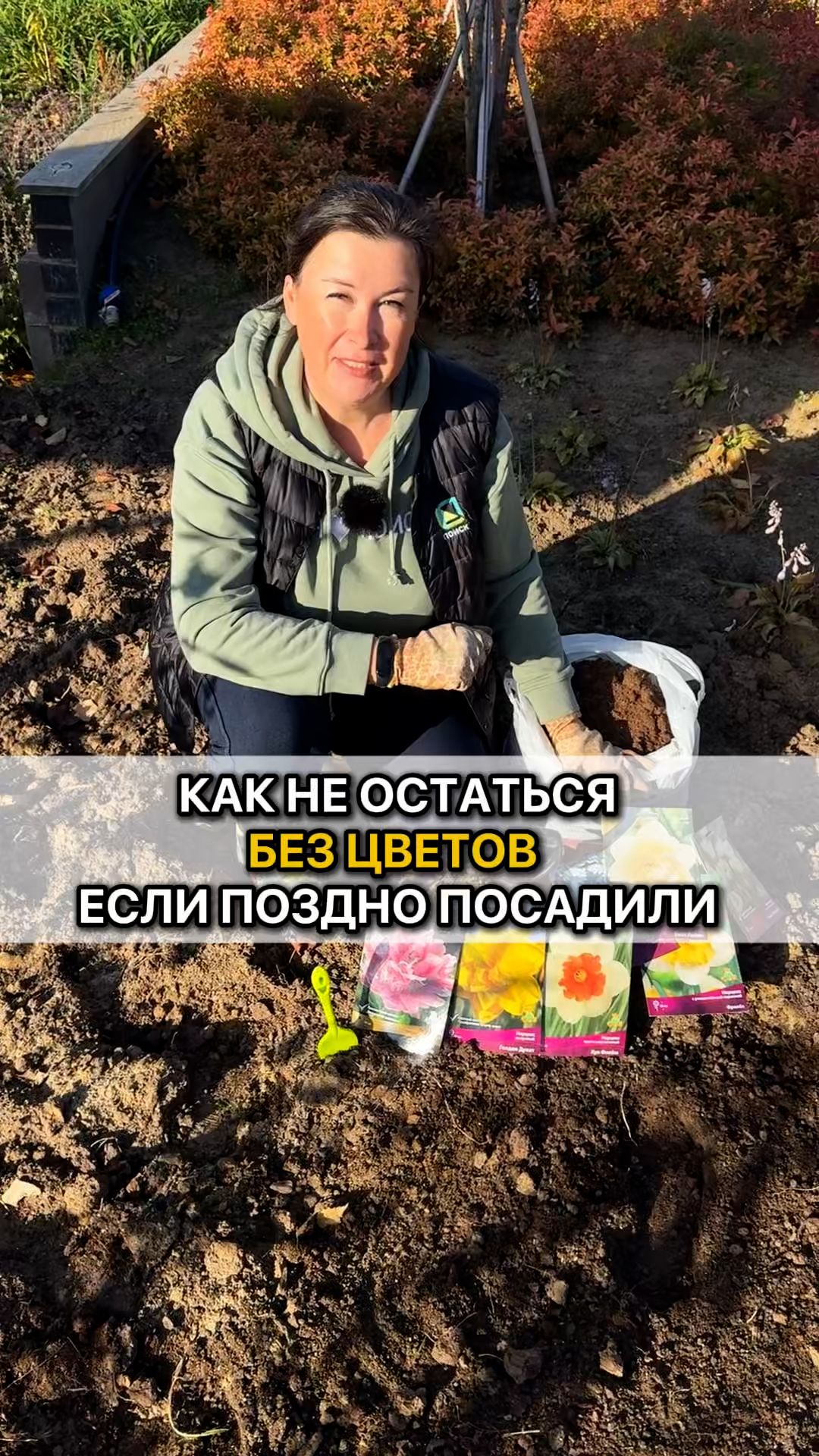 Луковичные цветы