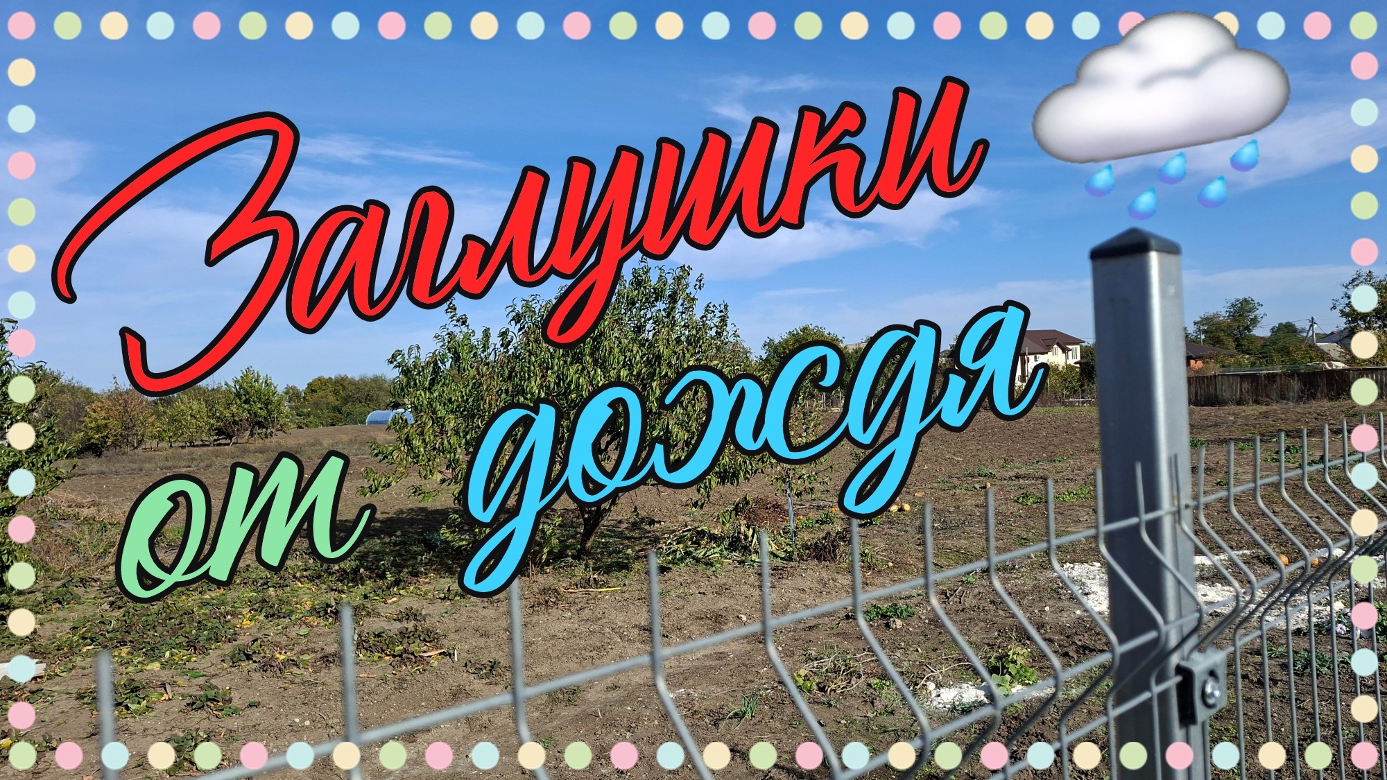 "Городок у моря". Черенки инжира. Кирпичи в подарок.