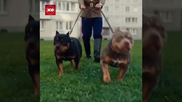 Момент веселья