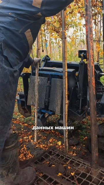 Городское озеленение