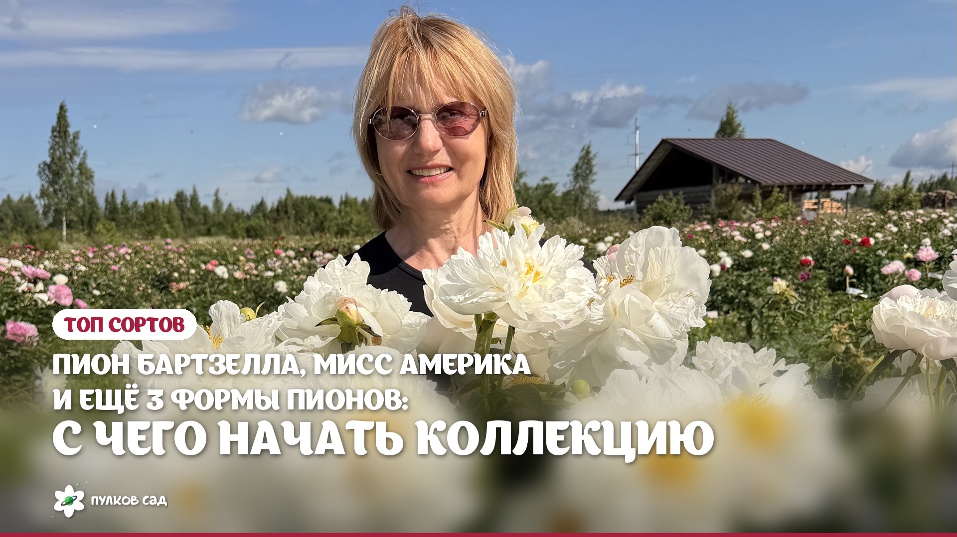 Сорта пионов: подборки из нашей коллекции