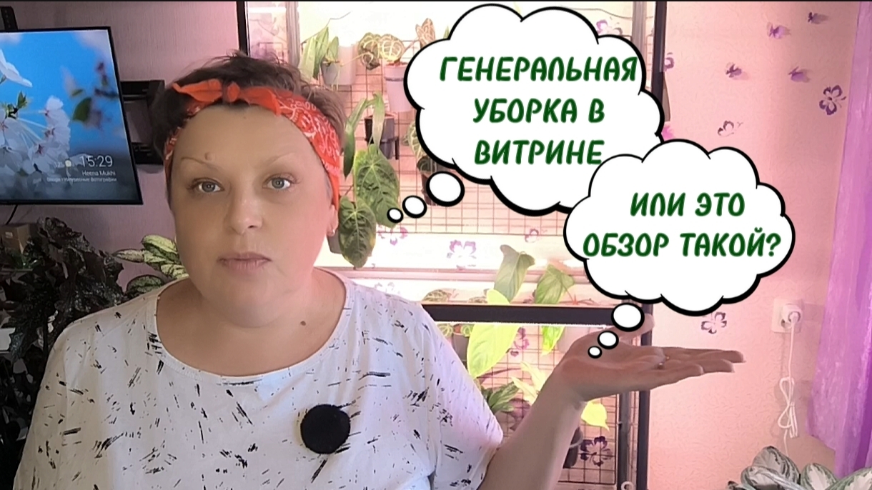 Антуриум