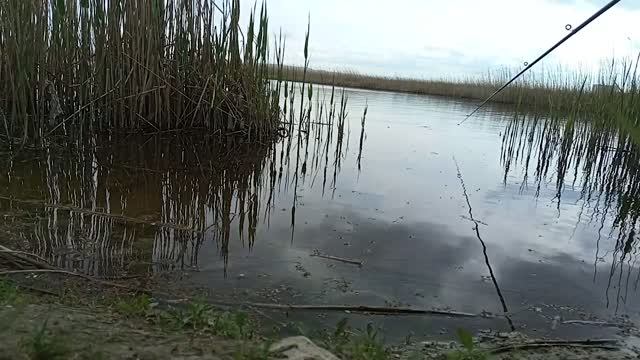 О ТУРИЗМЕ И РЫБАЛКЕ