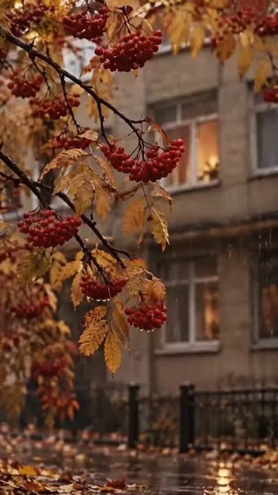 Раскаяние...