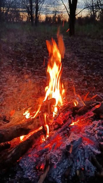 Звуки природы для сна: шум дождя, леса и моря